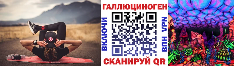как найти   Бутурлиновка  Псилоцибиновые грибы MAGIC MUSHROOMS 